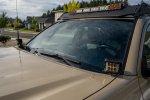 _XT43725.jpg