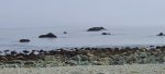 20200819_172618.jpg