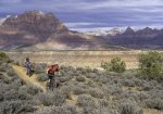 Mountain Bikers Shredding Wire Mesa Trail Below Mount Kinesava and Zion National Park.jpg