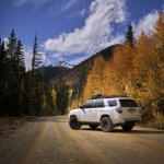 DSC04417 1 forum.jpg