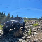 4E3C79B5-CA23-46C3-925F-5996F312880F.jpeg 4E3C79B5-CA23-46C3-925F-5996F312880F.jpeg