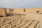 DRYING MUD BRICKS.jpg