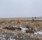 IMG_3050.jpg IMG_3050.jpg