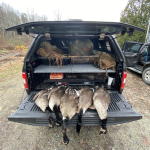 Screen Shot 2022-03-02 at 7.18.25 PM.png Screen Shot 2022-03-02 at 7.18.25 PM.png