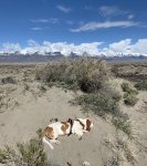 1C33E6E9-6BFD-46D8-B40B-EAA78502B366.jpeg 1C33E6E9-6BFD-46D8-B40B-EAA78502B366.jpeg