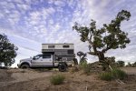 Cotton Ball Clouds in Sky Above Juniper Tree and Overlanding Campsite near Moab-Edit.jpg