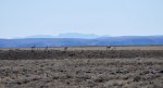 Hart Mountain.JPG