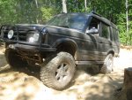 Uwharrie Safari 2012 048.jpg