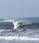 IMG_0459.jpeg IMG_0459.jpeg