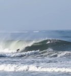 IMG_0460.jpeg IMG_0460.jpeg