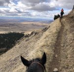 IMG_0542.jpeg IMG_0542.jpeg