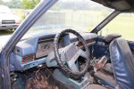 IMG_4283.JPG