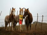 Mile336#3.jpg