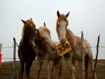 Mile336#4.jpg