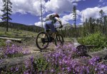 Melissa Edge Rides Past Wildflowers on Peaks Trail.jpg