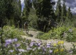 Jackson Edge Sending Small Jump on Peaks Trail.jpg