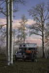 Cotton Candy Clouds Above Overlanding Campsite in Aspen Trees Near Durango.jpg