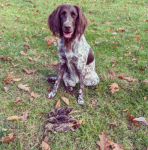 1667855192307.png 1667855192307.png