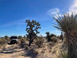 Mojave trail.jpg Mojave trail.jpg