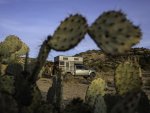 Prickly Pear Cactus Framing Overlanding Campsite at Sunrise Near Sedona.jpg