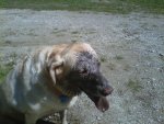 mudface.jpg