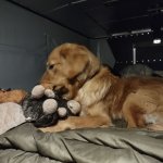 IMG_20221221_183715_(1080_x_1080_pixel).jpg IMG_20221221_183715_(1080_x_1080_pixel).jpg