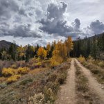 IMG_20221222_215821_(1080_x_1080_pixel).jpg IMG_20221222_215821_(1080_x_1080_pixel).jpg