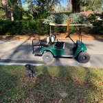 2CA75044-153C-44EB-A14E-497D66D253CB.jpeg 2CA75044-153C-44EB-A14E-497D66D253CB.jpeg