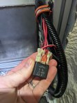 molex relay.jpg