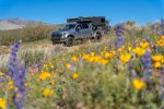 Ford F250 Overland Camper Passes Colorful Wildflowers on Senator Highway.jpg