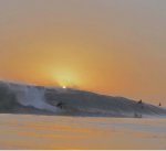 IMG_1099.jpeg IMG_1099.jpeg