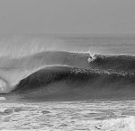 IMG_1031.jpeg IMG_1031.jpeg