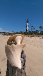 Lighthouse & shell.jpg
