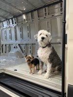 IMG_8736.jpeg IMG_8736.jpeg