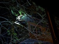 PXL_20230430_014045359.jpg PXL_20230430_014045359.jpg