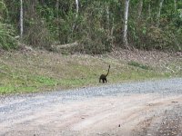 PXL_20230501_171851620.jpg PXL_20230501_171851620.jpg