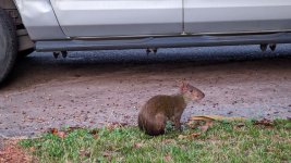 image000000 (9).jpg image000000 (9).jpg