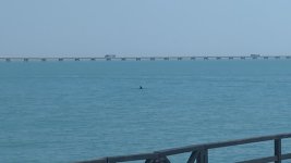 PXL_20230509_211048327.TS_exported_4968.jpg PXL_20230509_211048327.TS_exported_4968.jpg