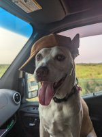 PXL_20230510_231747978.jpg PXL_20230510_231747978.jpg