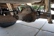 IMG_20230528_113758036 copy.jpg