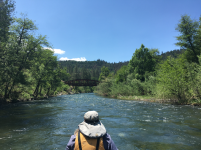 1685584837008.png 1685584837008.png