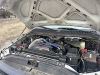 IMG_8693 copy.jpg IMG_8693 copy.jpg