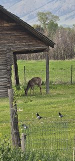 20230523_200845_copy_349x747.jpg 20230523_200845_copy_349x747.jpg