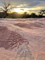 Moab Tire Track.jpg