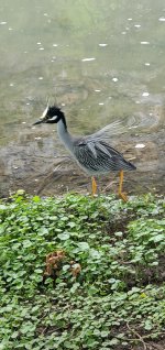 20230606_140136.jpg 20230606_140136.jpg