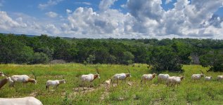 20230605_104253.jpg 20230605_104253.jpg