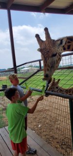 20230614_140926.jpg 20230614_140926.jpg