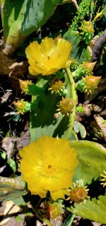 20230615_144135.jpg 20230615_144135.jpg