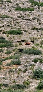 20230616_093326.jpg 20230616_093326.jpg