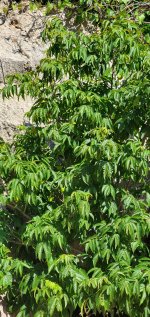 20230616_092104.jpg 20230616_092104.jpg